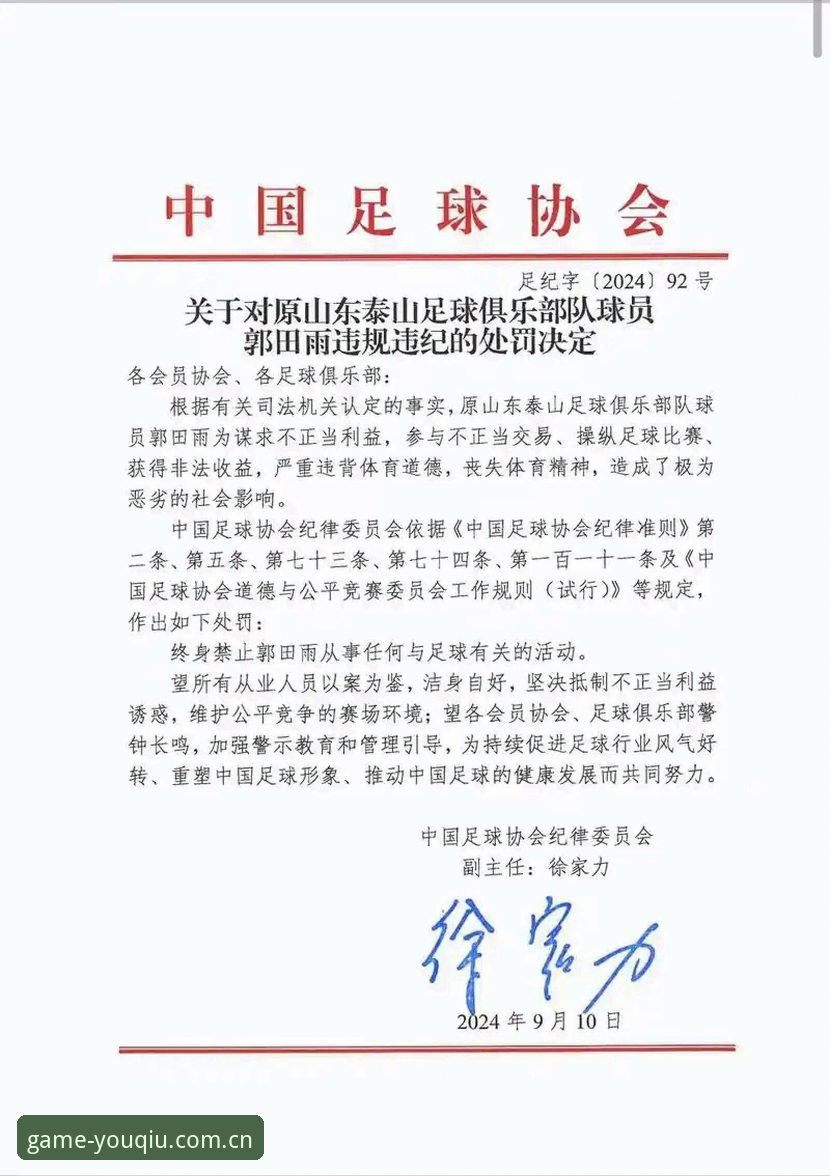 有球体育比赛回放 足协第三批禁足名单公布,如何通过有球体育比赛回放深度解析这场行业地震?